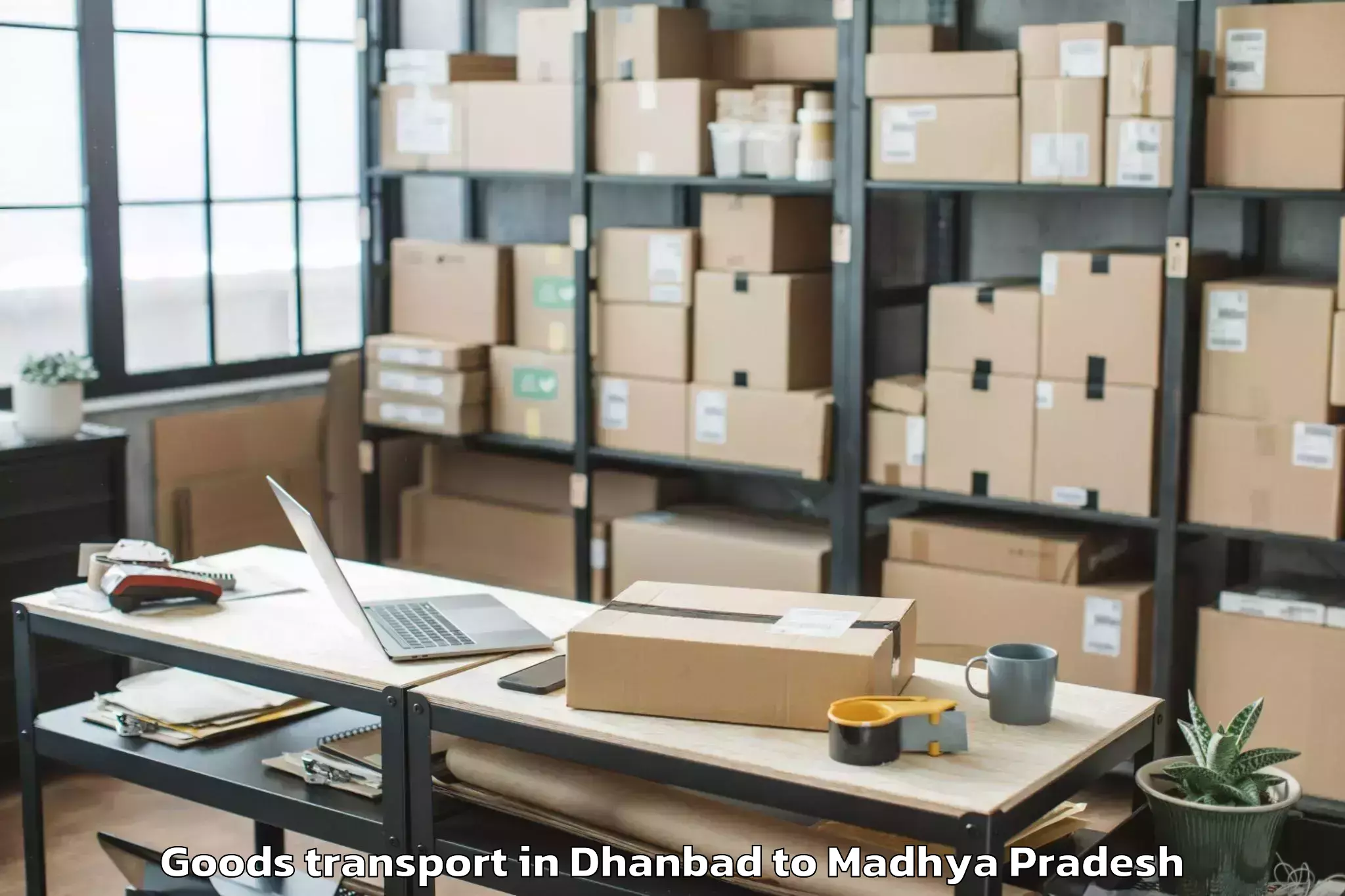 Quality Dhanbad to Sage University Indore Goods Transport